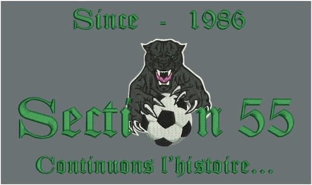 Logo section 55 saint donat sur l'herbasse